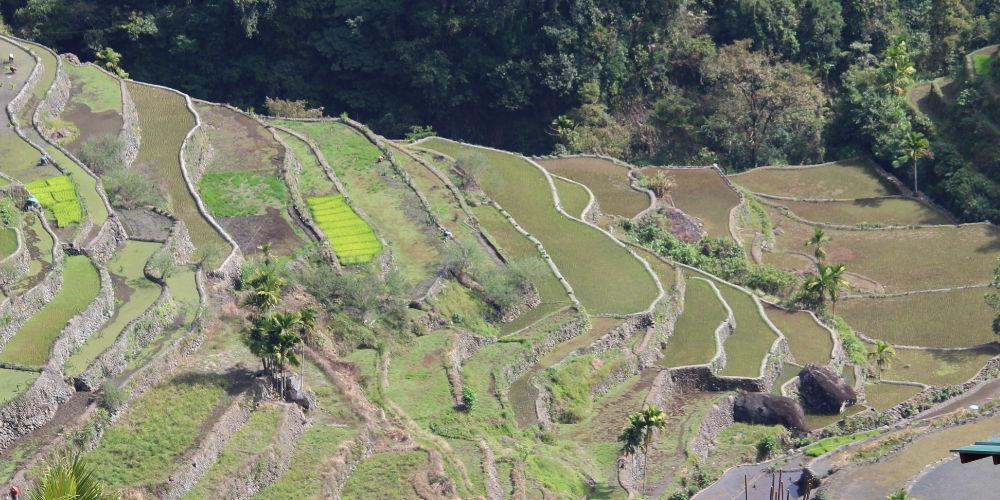 batad4